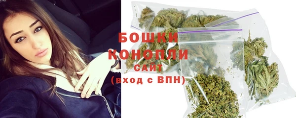 ПСИЛОЦИБИНОВЫЕ ГРИБЫ Корсаков