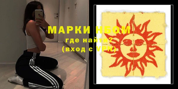 ПСИЛОЦИБИНОВЫЕ ГРИБЫ Корсаков