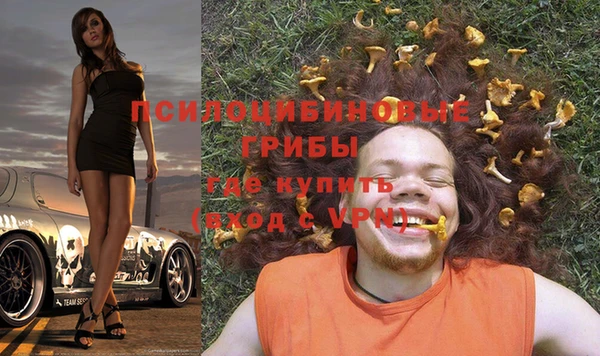 амф Кодинск