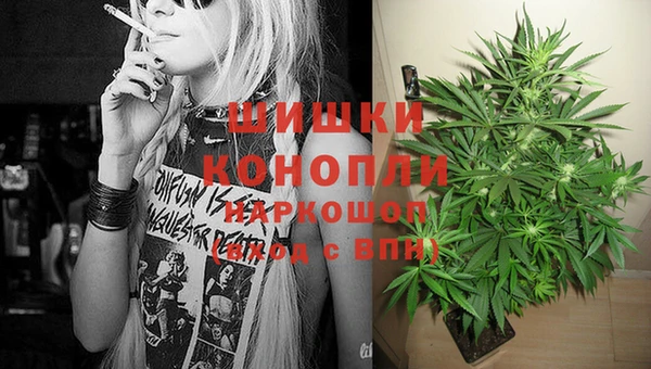 ПСИЛОЦИБИНОВЫЕ ГРИБЫ Корсаков