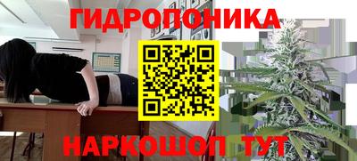 стафф Бузулук