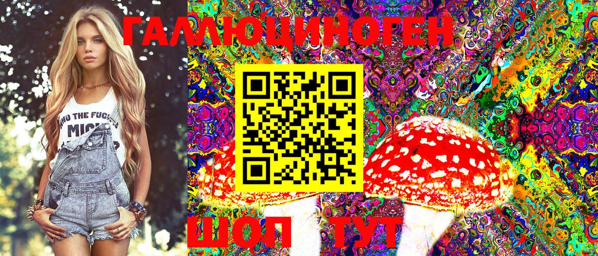 Псилоцибиновые грибы Psilocybe Новошахтинск