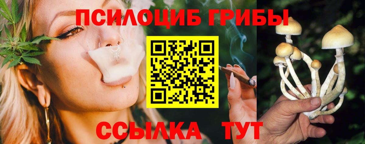 Псилоцибиновые грибы ЛСД Новошахтинск