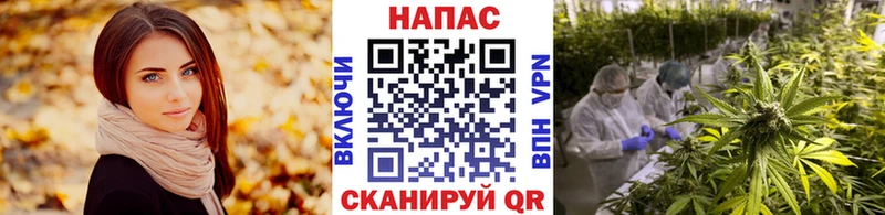 kraken рабочий сайт  хочу наркоту  Новошахтинск  Бошки Шишки семена 